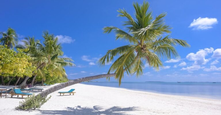 What Every Traveler Needs To Know Now