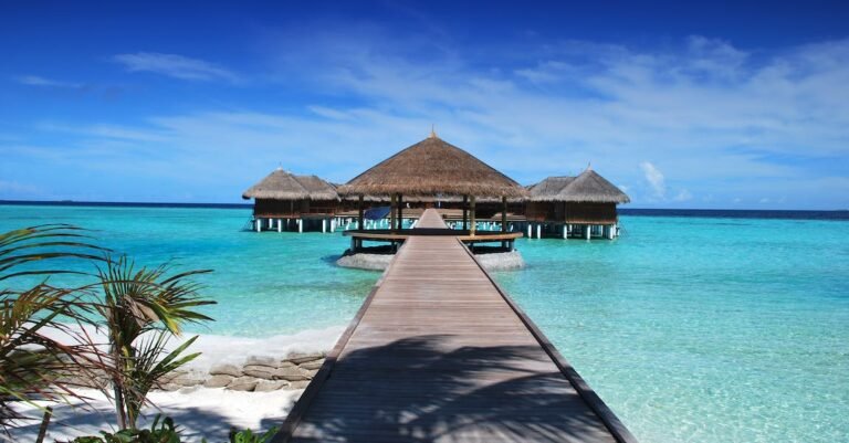 Pack Your Suitcase And Use These Tips To Travel
