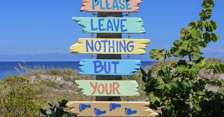 Travel Information You Can Start Using Now