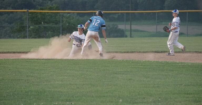 Everything You Have Ever Wanted To Know About Baseball