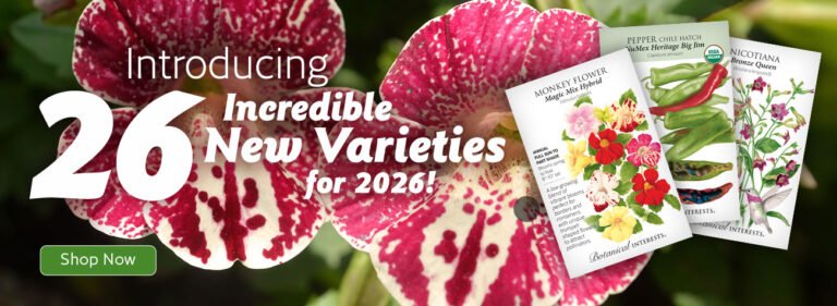 The Magic of Home Gardening: How to Create Your Own Green Paradise Starting with Seeds